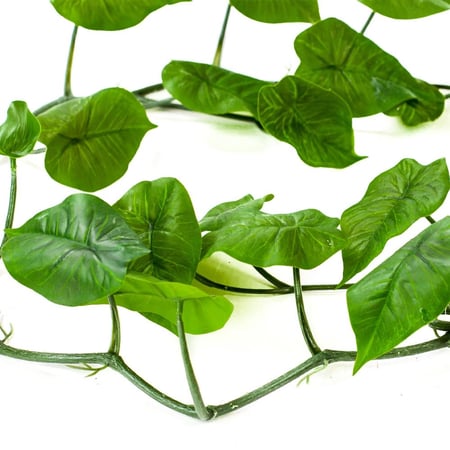 خضارات متدلي 180سم