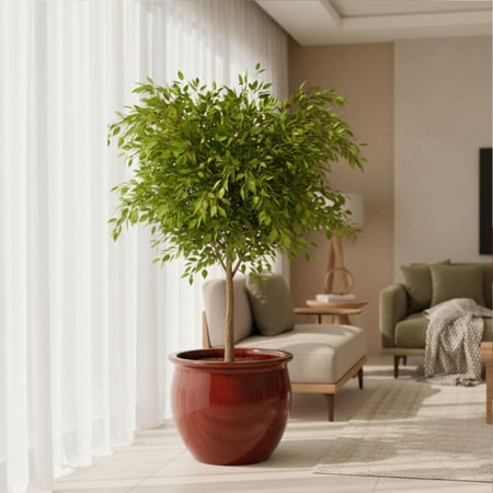 حوض حجري جليز – 4 مقاسات مختلفة – لون أحمر