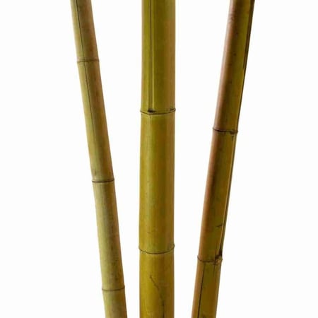 خشب بامبو طبيعي – خامة ديكورية متعددة الاستخدامات