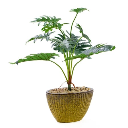 نبتة فيلوديندرون صناعية صغيرة مع مركن بني منقوش أصفر – 60 سم