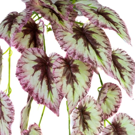 خضارات صناعية متدلية بيغونيا ريكس – أوراق ملونة بنفسجي وأخضر، طول 135 سم – من حديقة السوسن