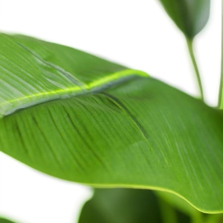 شجرة موز صناعية – أوراق خضراء طبيعية المظهر، ارتفاع 155 سم