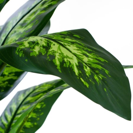 شجرة دفندنيا صناعية 120 سم – ديكور داخلي فاخر | حديقة السوسن