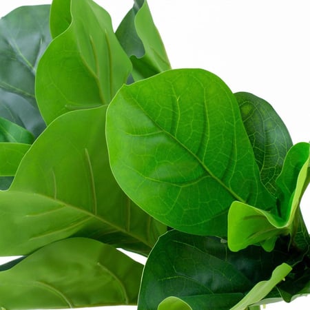 شجرة كمان ديكور داخلي – أوراق خضراء كثيفة ومظهر واقعي