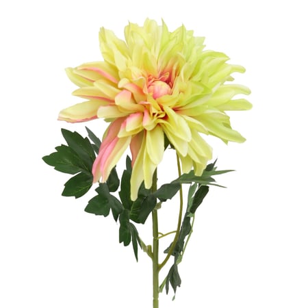 زهور الداليا الاصطناعية – 6 ألوان مختلفة