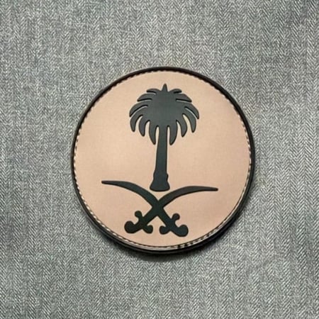 سيفين ونخلة