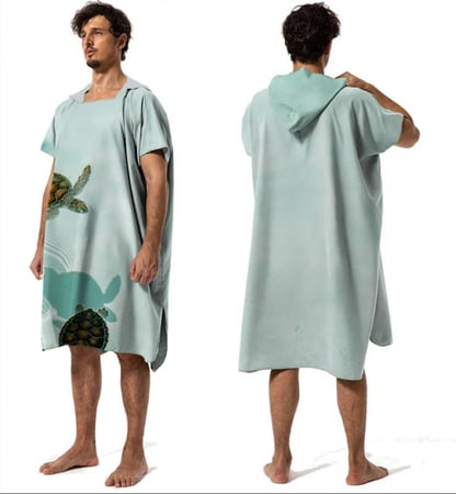 بونشو شاطئ - السلاحف البحرية