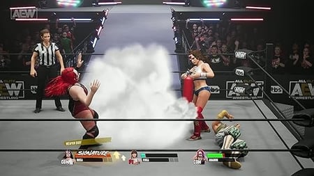 AEW: Fight Forever – PS5 Game