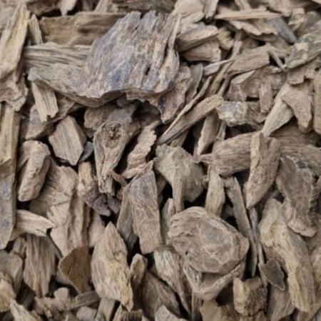 عود كلمنتان بونتيانك سوبر مرتفع - ناتق للعود