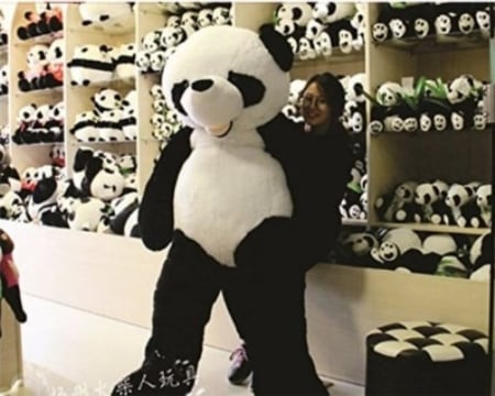 باندا عملاق