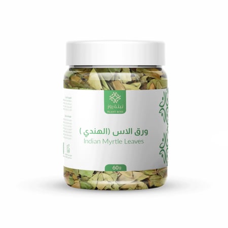 عشبة الاس (الهندي )