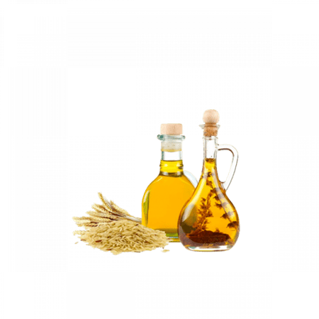 زيت نخالة الأرز المركز