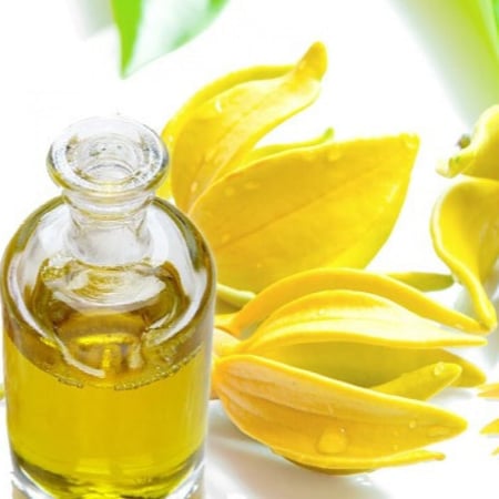 زيت يلنج يلونج العطري
