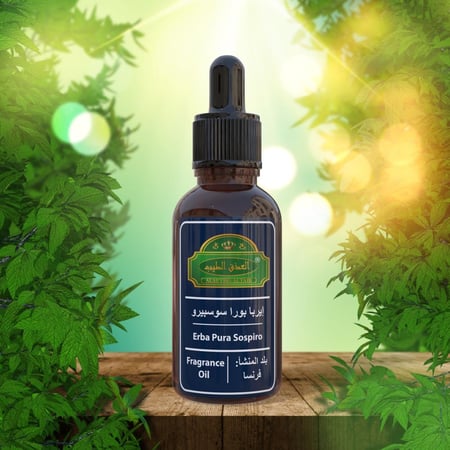 زيت عطري شبيه ايرابابورا سوسبيرو