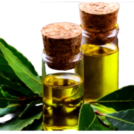 زيت ورق الغار  العطرية