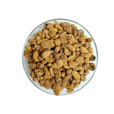 حب العزيز متعدد الوزن