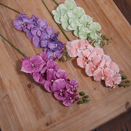 غصن اوركيد ازرق