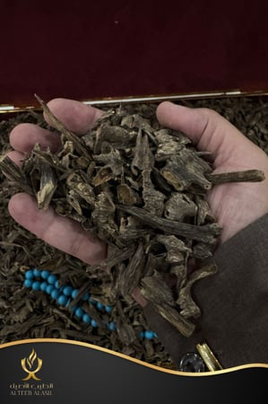 عود موري دبل سوبر -الطيب الاصيل