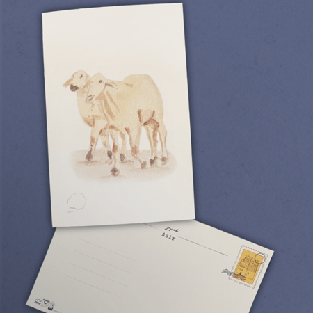 بطاقات بريدية تراثية