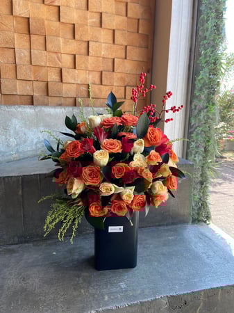 فازة شتوي 2022