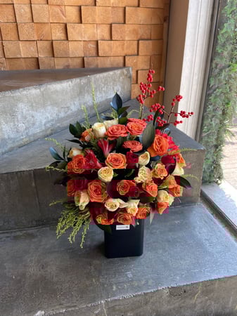 فازة شتوي 2022