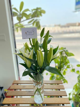 فاز كازا الميلاد