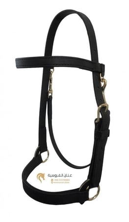 TRAINING HALTER