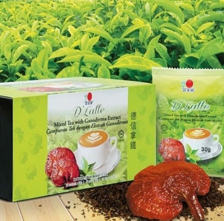 شاي لاتيه لينهزي 12 ظرف – DXN