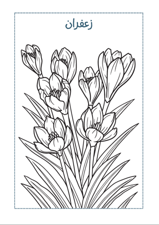كتاب تلوين الزهور