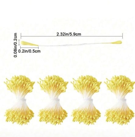 أسدية ازهار