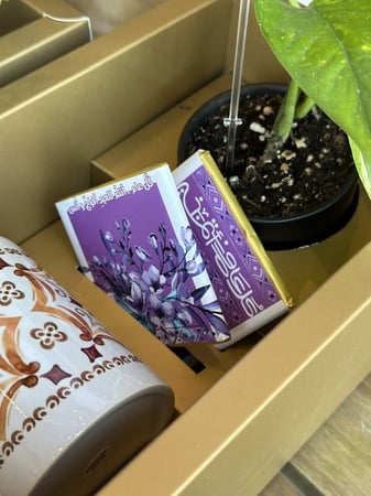 عيديات  بكج كامل  اكواب الحروف الإنجليزية  و الشوكلاته و شجرة البوتس الطبيعيه مع الكيس