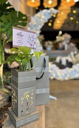 عيديات المضيئة  مع نبتة البوتس الطبيعية والشوكلاته وبطاقة إهداء  تطبع بالاسم