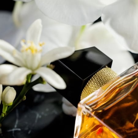 عطر سان لوران ليبر او دي بارفيوم انتنس 50 مل