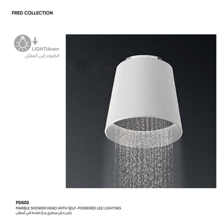 رأس دش مطري سقفي مع اضاءة Fred​ - FDS02