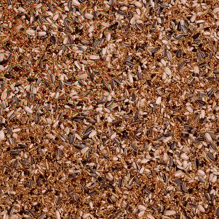 ديلي ناتشر بريميوم طعام الكروان والروز والكنيور والكويكر 1 كجم