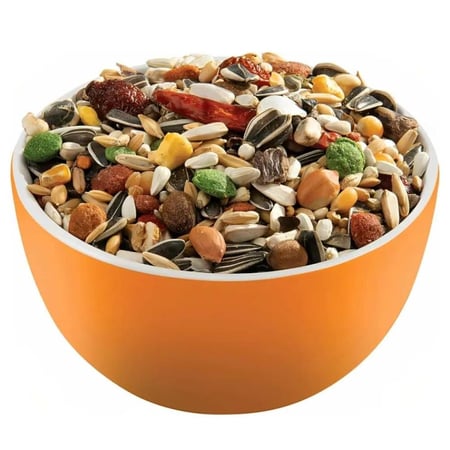 فيرسل لاقا بريستيج لورو بارك غذاء كامل للببغاوات الافريقية 2 كجم