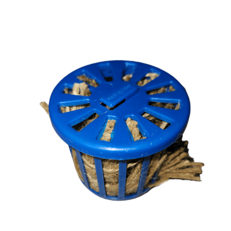 خيوط تعشيش الزيبرا والكناري