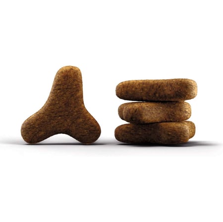 جوسيرا كولينيس طعام جاف للقطط بالسالمون والدواجن للعناية بالشعر والبشرة 2 كجم