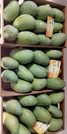 3بوكسات زبده هندي 9 كيلو