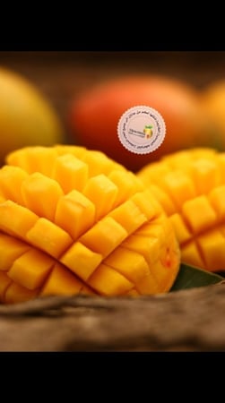 12 بوكسات لانجرا مع شحن مجاني