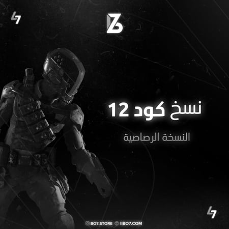 نسخ كود 12 - النسخة الرصاصية