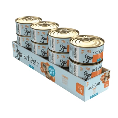 اكل قطط معلبات