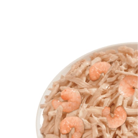 لايف كات طعام رطب للقطط بنكهة الدجاج مع الجمبري 24 حبة 85 جرام