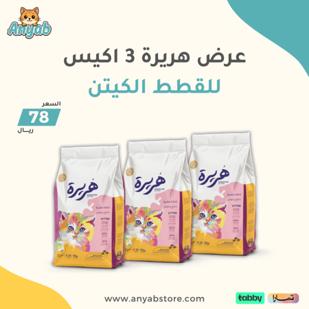 افضل طعام للقطط