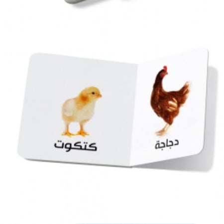 حيوانات المزرعة