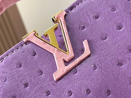 شنطه LV