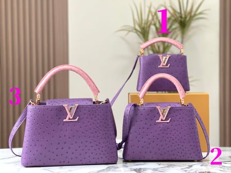 شنطه LV