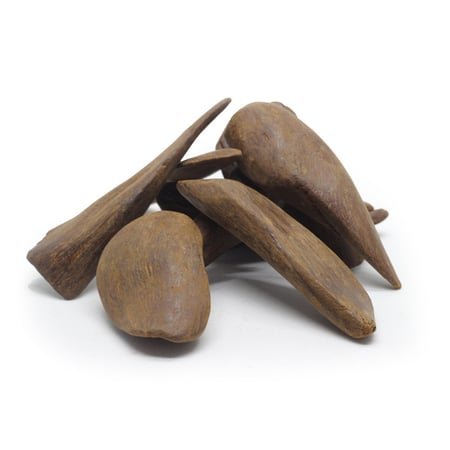 عرض (التجربة)