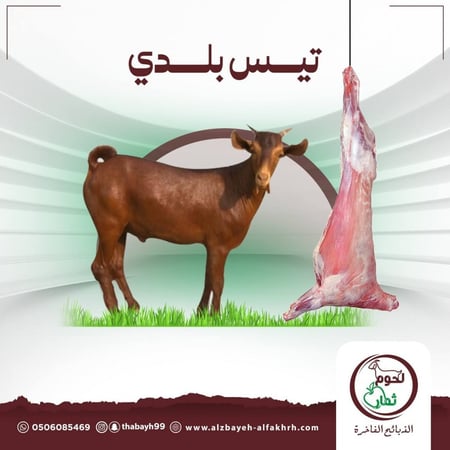 تيس جدع ثلاجة كبير  ( مناسبات )
