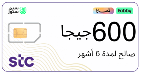 شريحة بيانات 600 جيجا | 6 أشهر STC